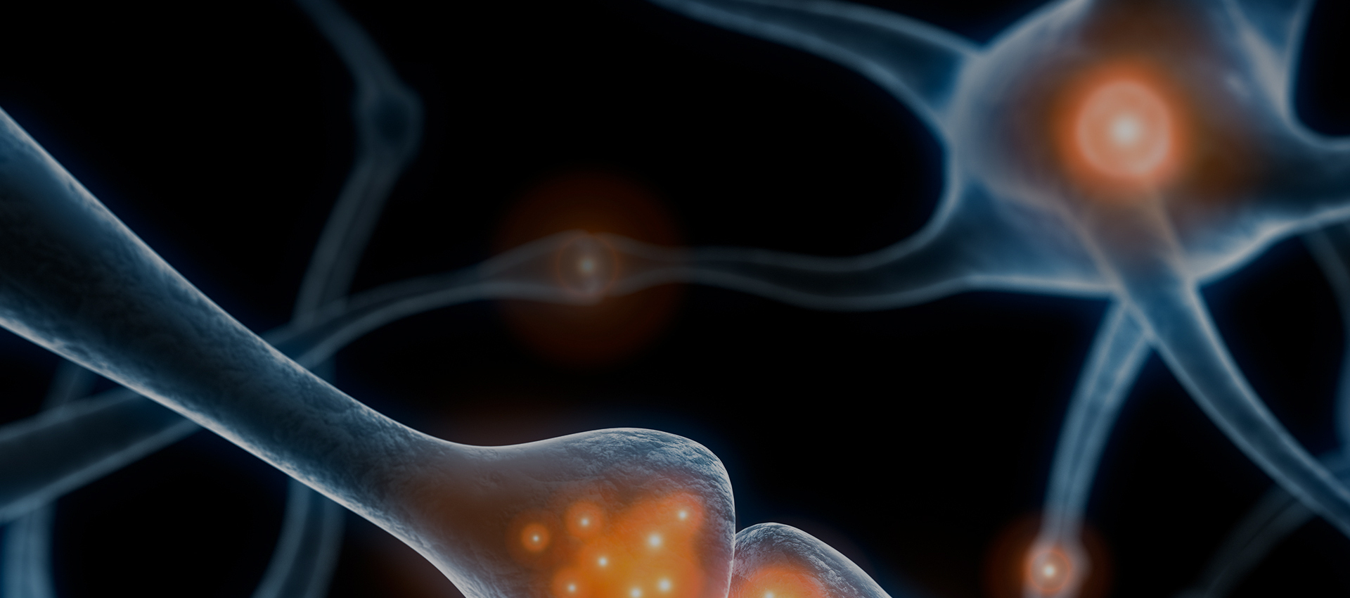 재생치료 | Regenerative Therapy